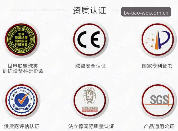 BV体育官方下载2026最新版本详解：功能升级与安装指南